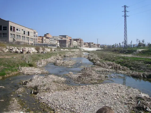 El riu Anoia