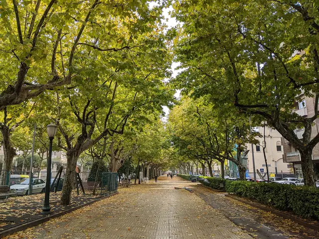 Passeig Mn. Jacint Verdaguer, tardor