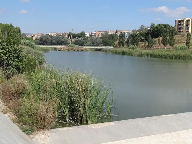 Embassament del Parc Fluvial
