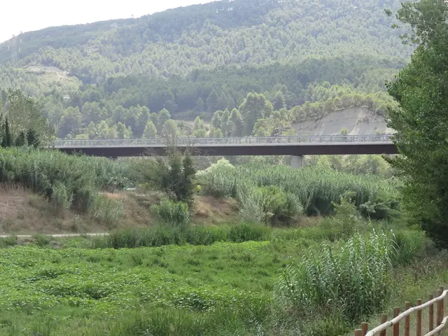 Riu Anoia sota la Ronda Sud